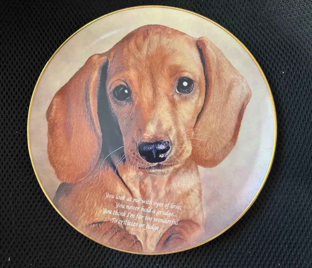 Danbury Mint Eye of Love Dachshund 8